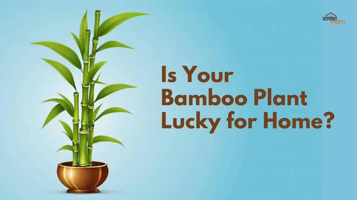 Enhance Prosperity with Bamboo Plants: Vastu and Feng Shui Benefits Explained